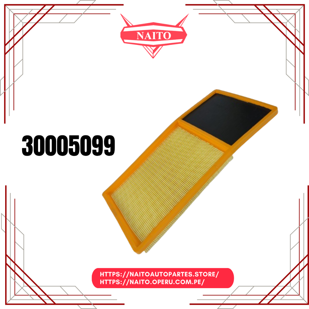 30005099